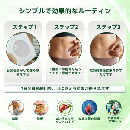 【完全新改良パッチ PLUS】 🌕🌕𝑳𝒖𝒙𝒂𝒓𝒊𝒔𝒆® モリンガ＆ベルベリン 10-IN-1 高機能ナノマイクロニードルパッチ（1日1回、7日で変化を実感）✅肥満・糖尿病・睡眠時無呼吸症候群・関節の悩み向け