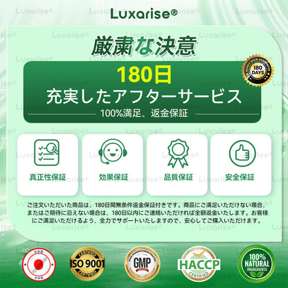 【完全新改良パッチ PLUS】 🌕🌕𝑳𝒖𝒙𝒂𝒓𝒊𝒔𝒆® モリンガ＆ベルベリン 10-IN-1 高機能ナノマイクロニードルパッチ（1日1回、7日で変化を実感）✅肥満・糖尿病・睡眠時無呼吸症候群・関節の悩み向け